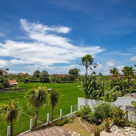 Sunterra - Brand New Villa - Ricefield View, Canggu - Rooftop