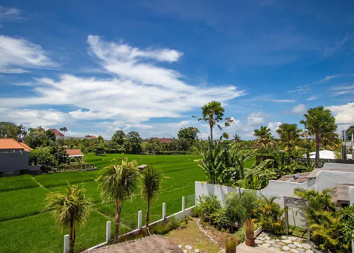 Sunterra - Modern With Rice Field Views Kerobokan